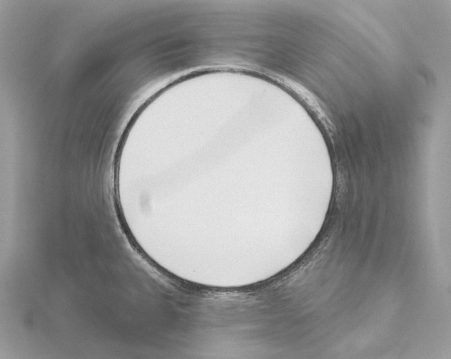 X0000115051335200912071122