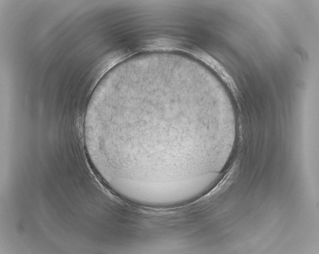 X0000115051337200912071122