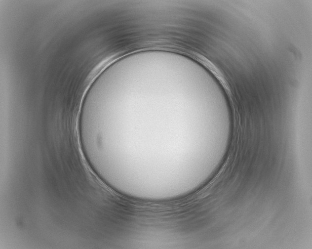 X0000115051338200912071122