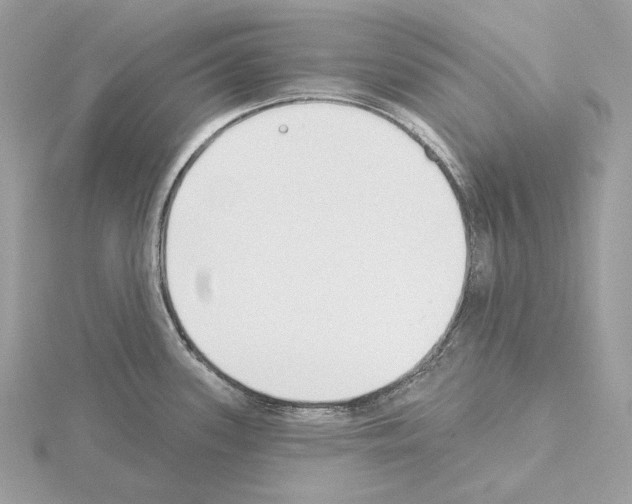 X0000115051339200912071122