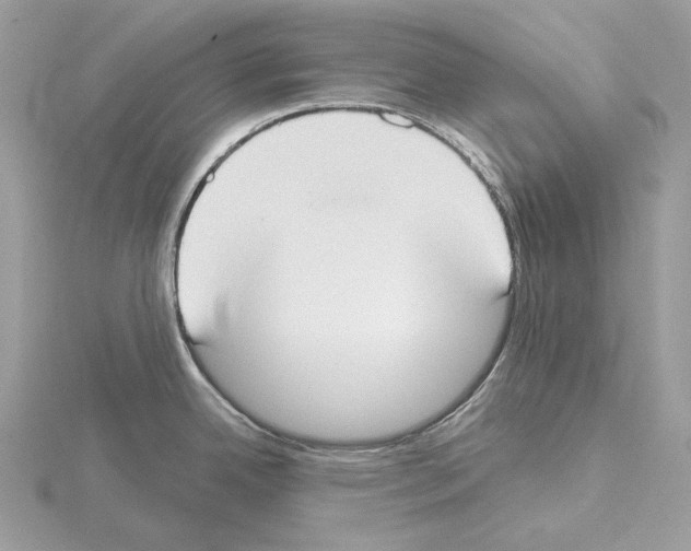 X0000115051342200912071122