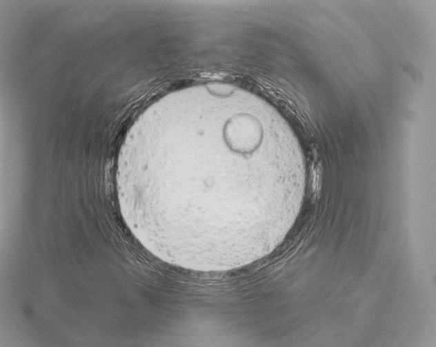 X0000115051347200912071122