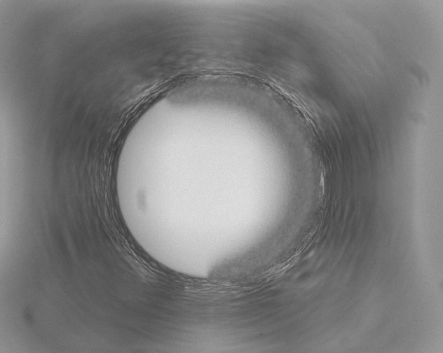 X0000115051348200912071122