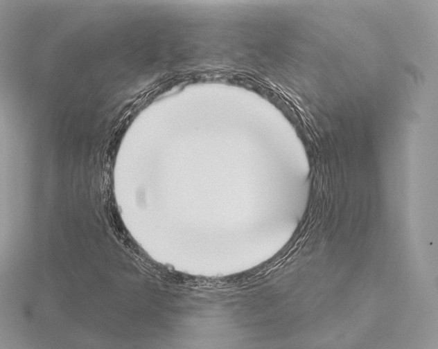 X0000115051349200912071122