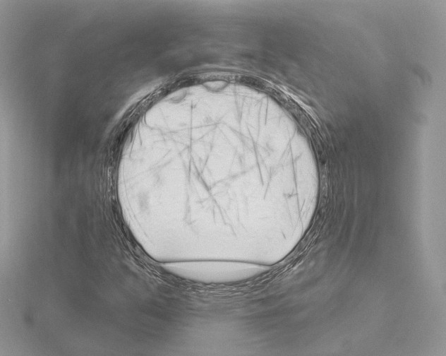 X0000115051351200912071122