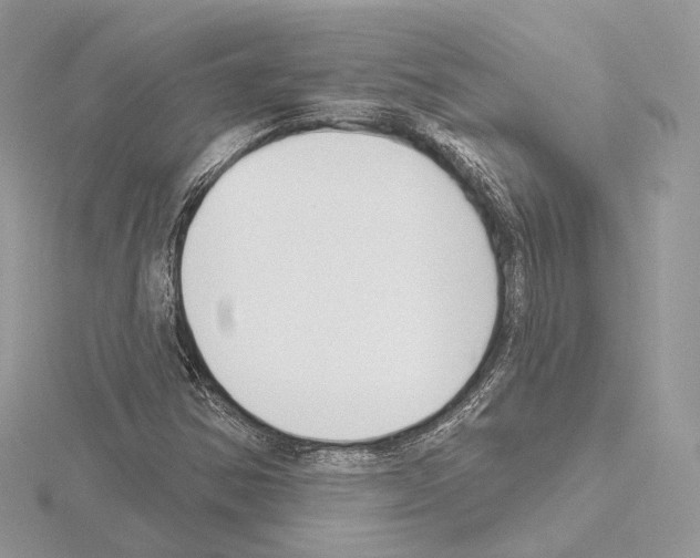 X0000115051354200912071121