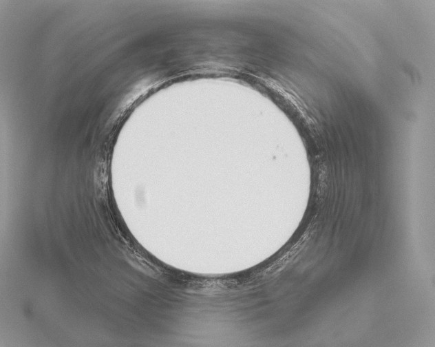 X0000115051355200912071121