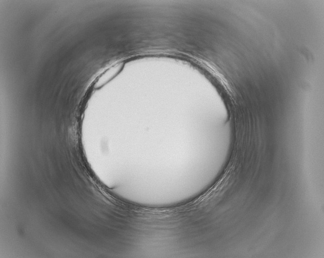 X0000115051356200912071121