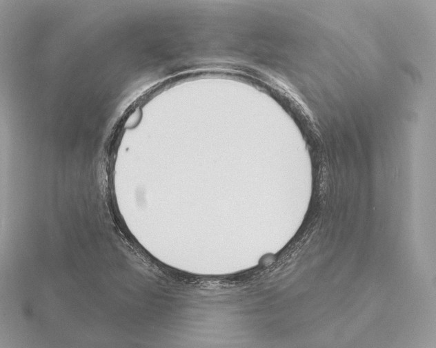 X0000115051360200912071121