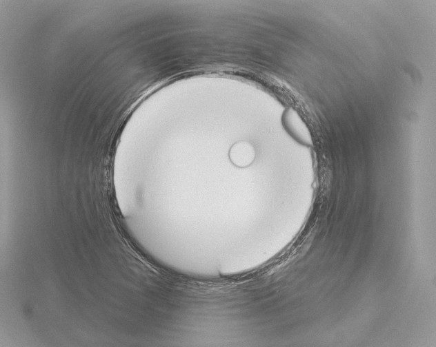 X0000115051361200912071121