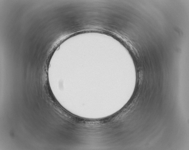 X0000115051363200912071121