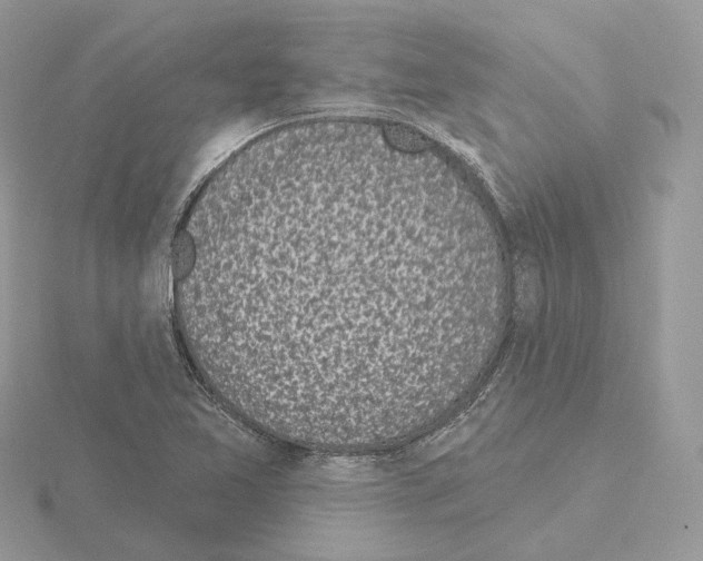 X0000115051365200912071121