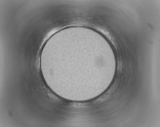 X0000115051366200912071121