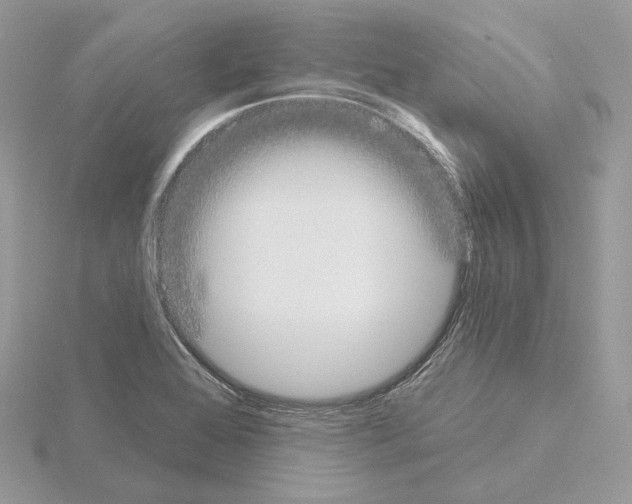 X0000115051368200912071121