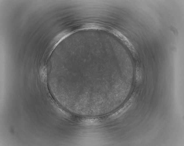 X0000115051369200912071121