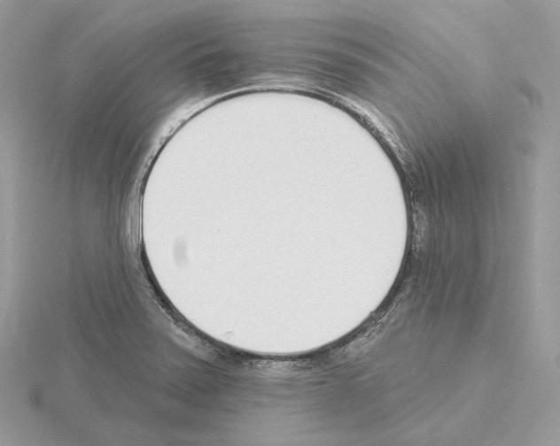 X0000115051371200912071121