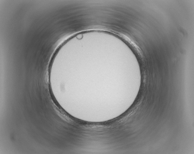 X0000115051372200912071121