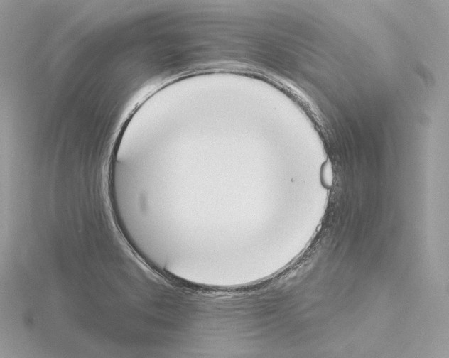 X0000115051373200912071121