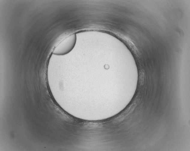 X0000115051374200912071121