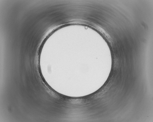 X0000115051376200912071121