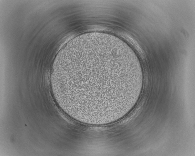 X0000115051377200912071121