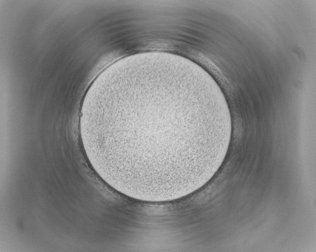 X0000115051378200912071121