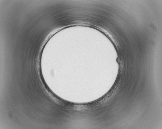 X0000115051379200912071121