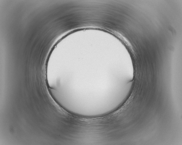 X0000115051380200912071121