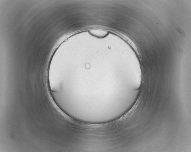 X0000115051381200912071121