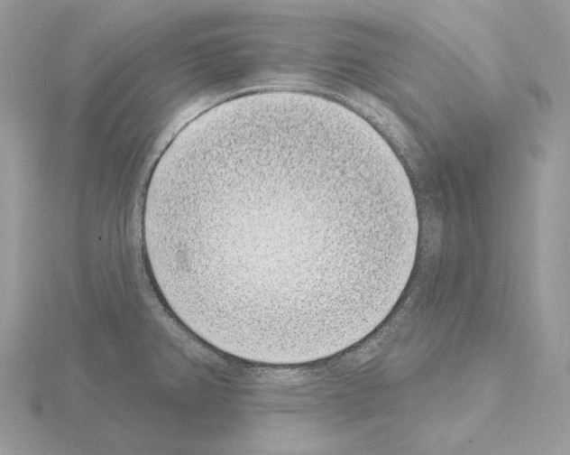 X0000115051382200912071121