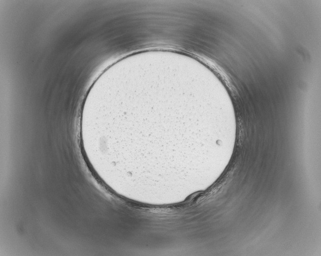 X0000115051383200912071121