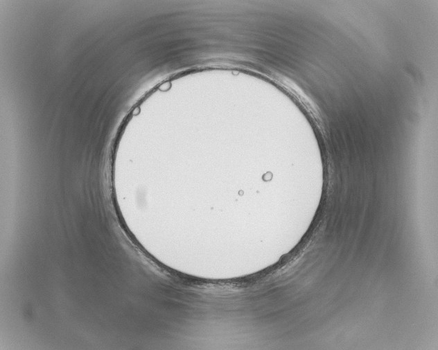 X0000115051384200912071121