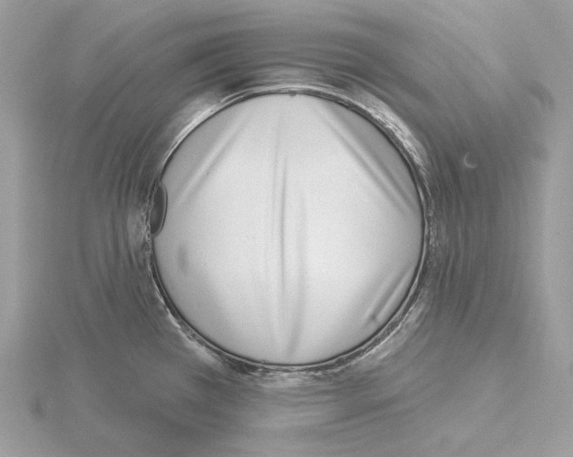 X0000115051385200912071121