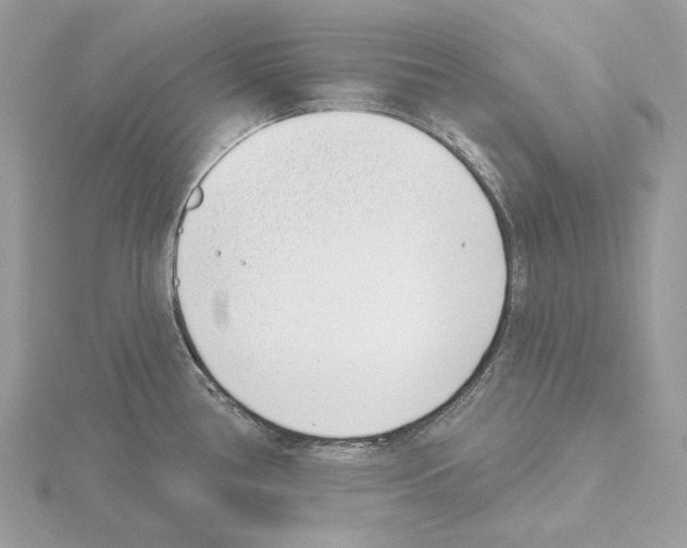 X0000115051386200912071121