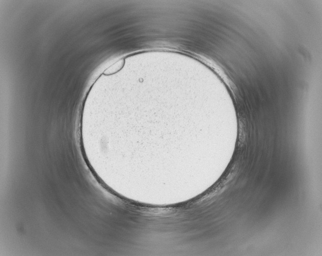 X0000115051387200912071121