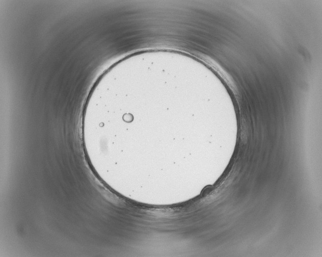 X0000115051388200912071121