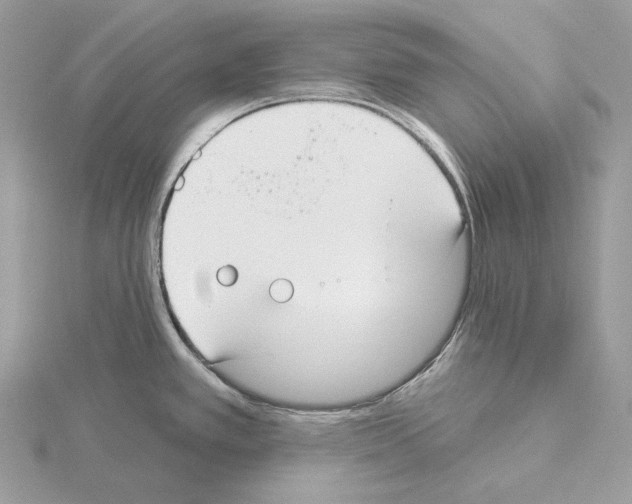 X0000115051389200912071121