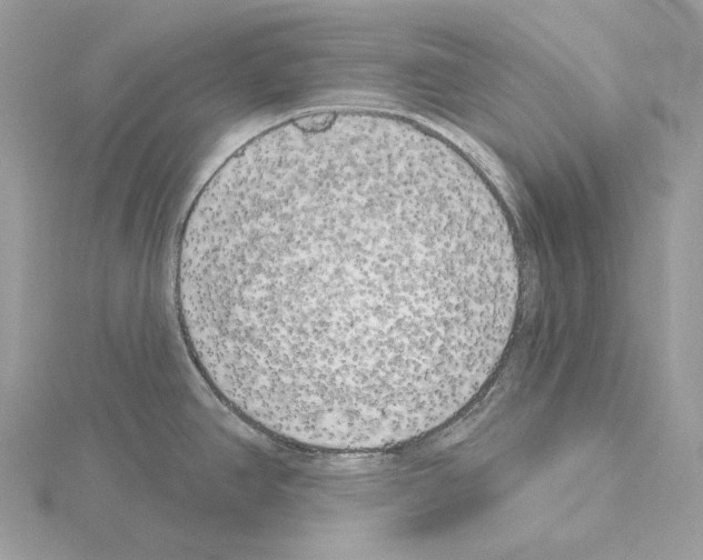 X0000115051390200912071121