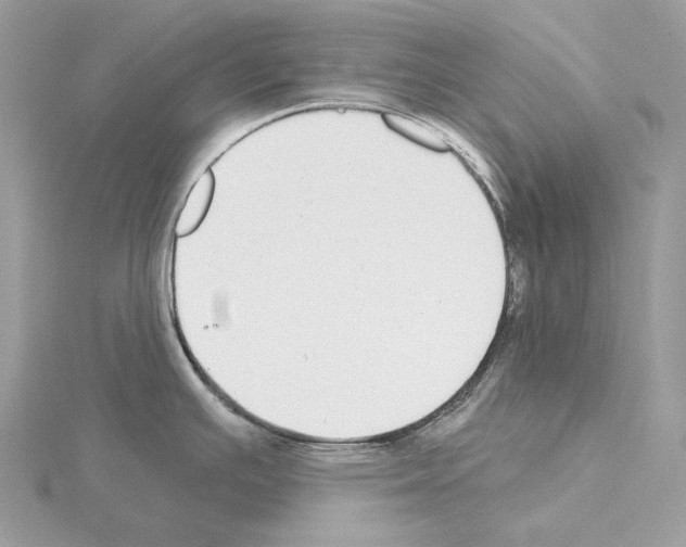 X0000115051391200912071121