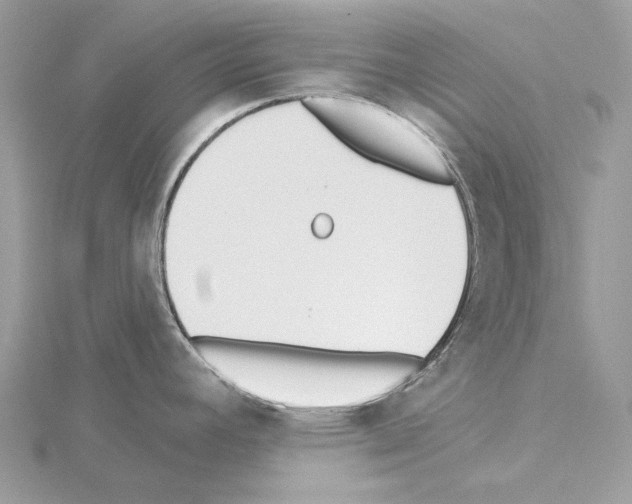 X0000115051392200912071121