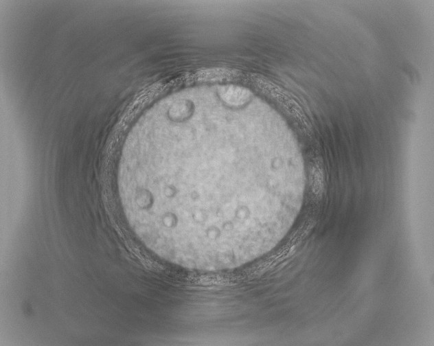 X0000115051393200912071120