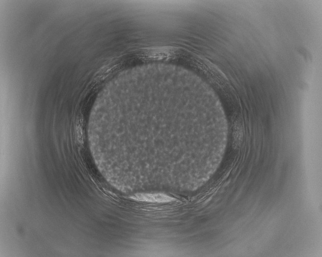 X0000115051394200912071120