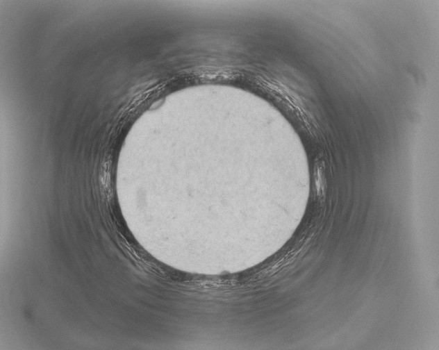 X0000115051396200912071120