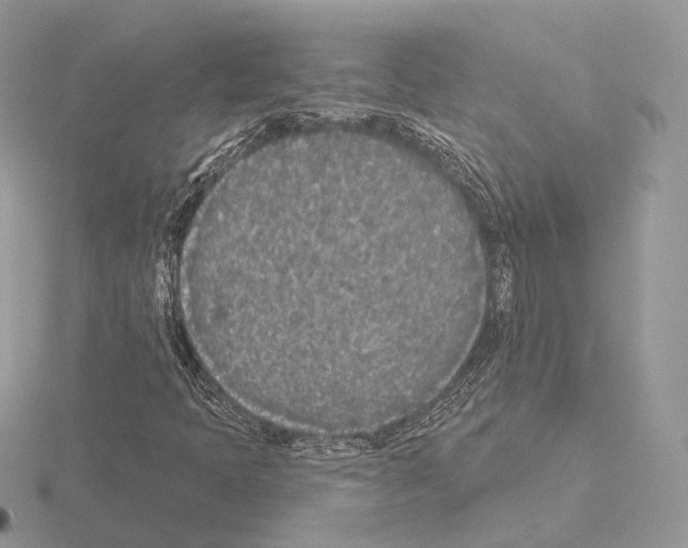 X0000115051397200912071120