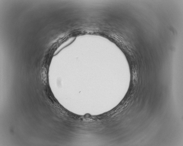 X0000115051398200912071120