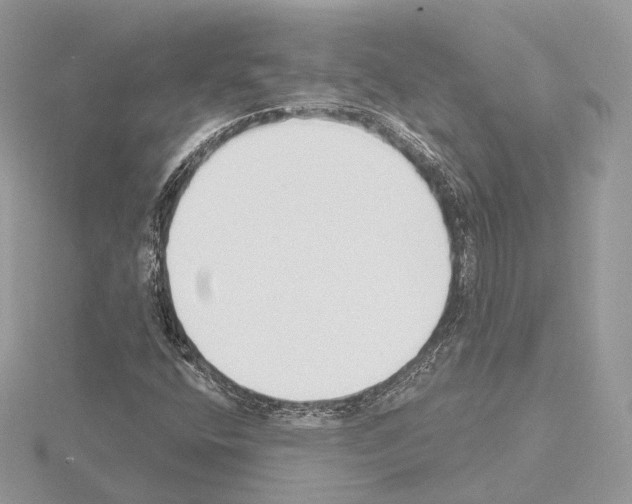 X0000115051400200912071120