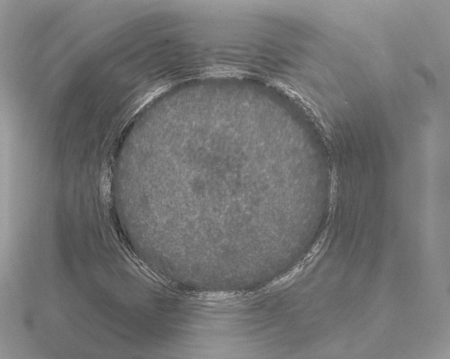 X0000115051401200912071120