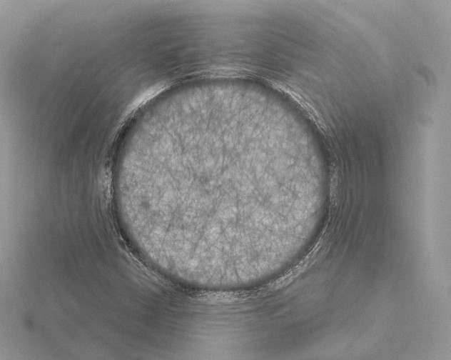 X0000115051402200912071120