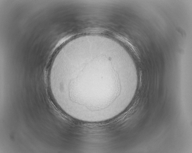 X0000115051404200912071120