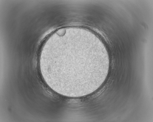 X0000115051406200912071121